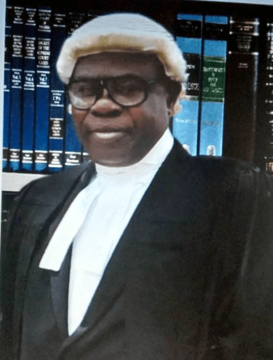 Portrait of Azes Ahmed Giwa, Esq.
